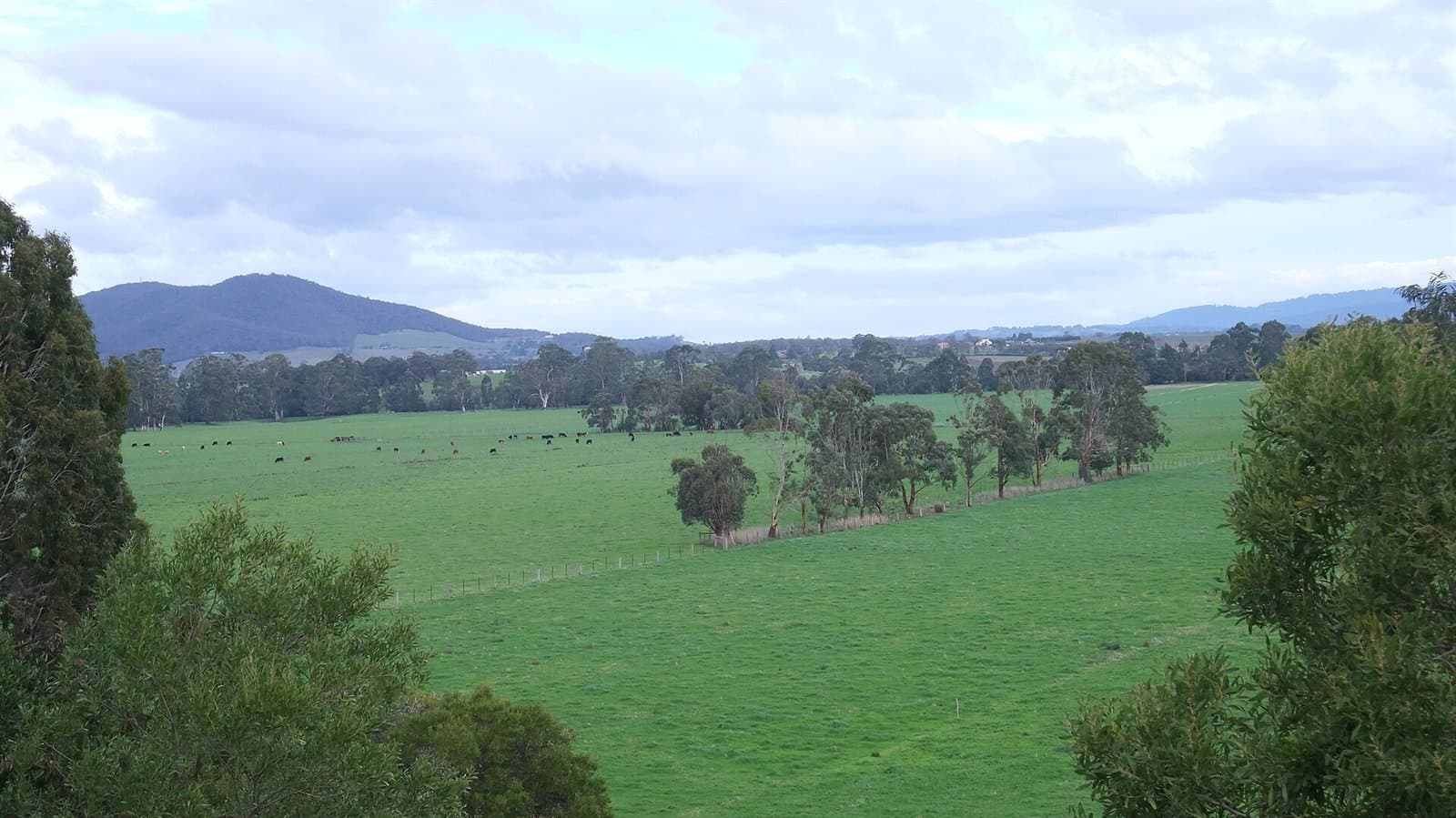Green paddocks across the valley floor, with forested ranges on the horizon